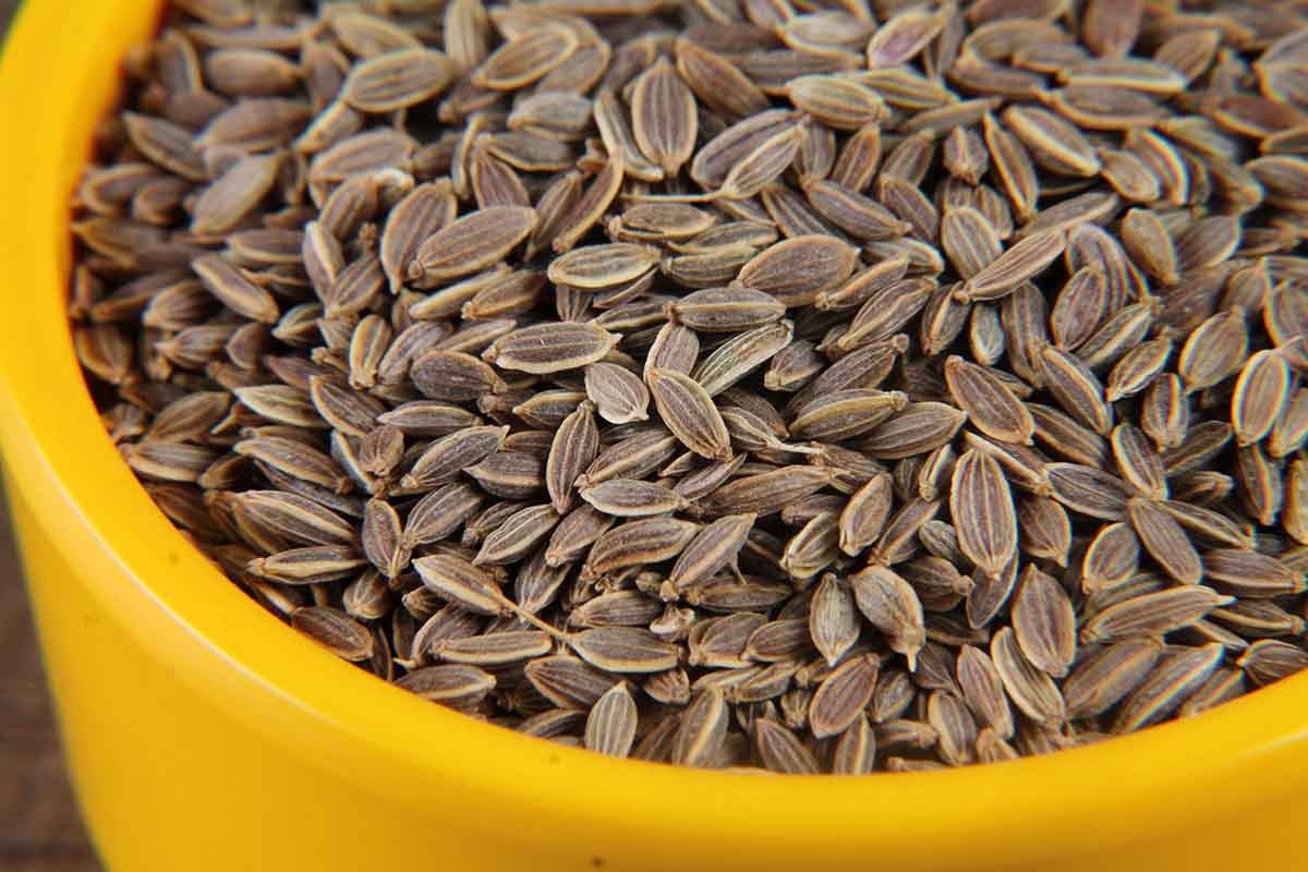 dill